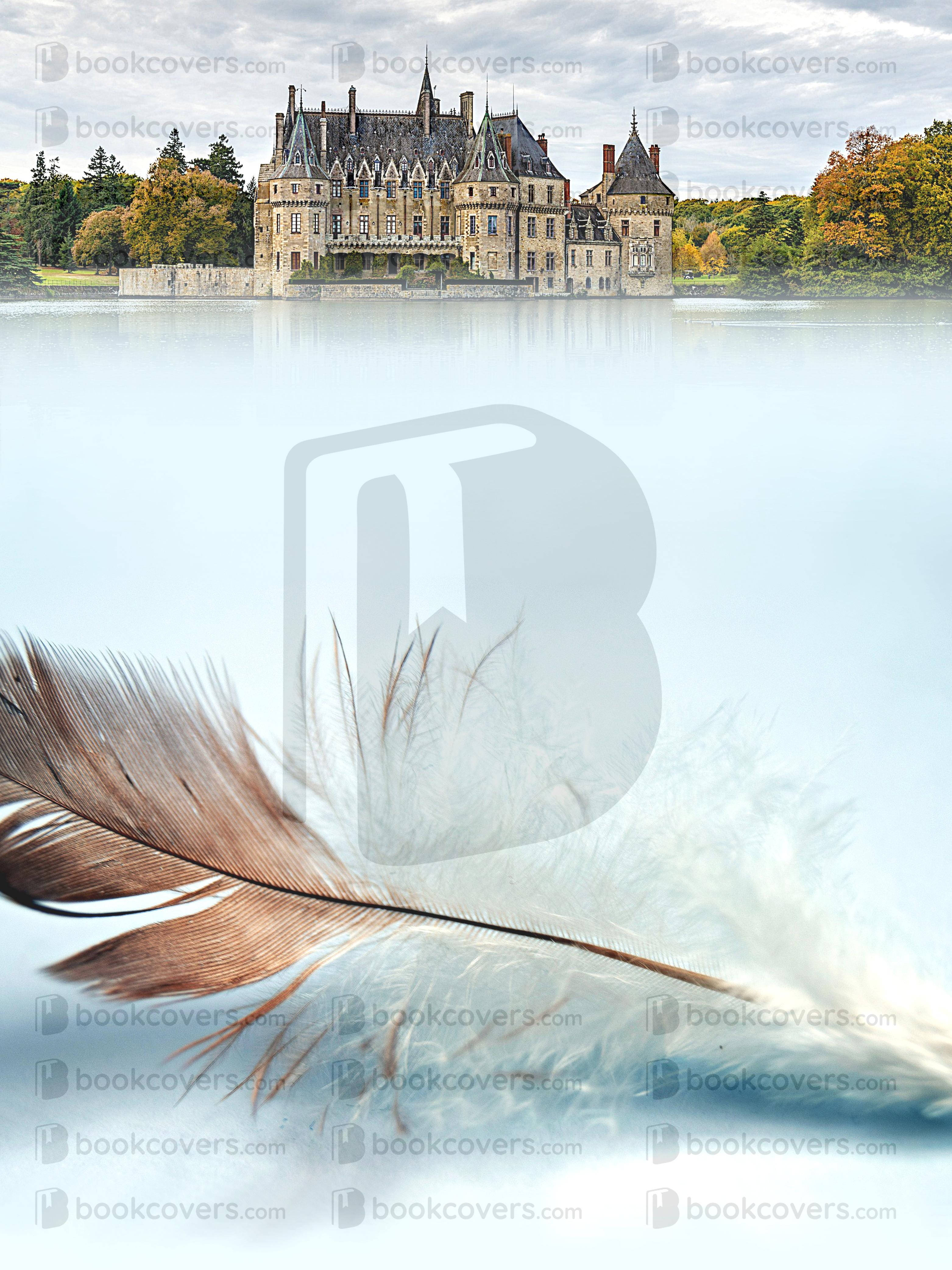 DeniseDoesDesign_26355644