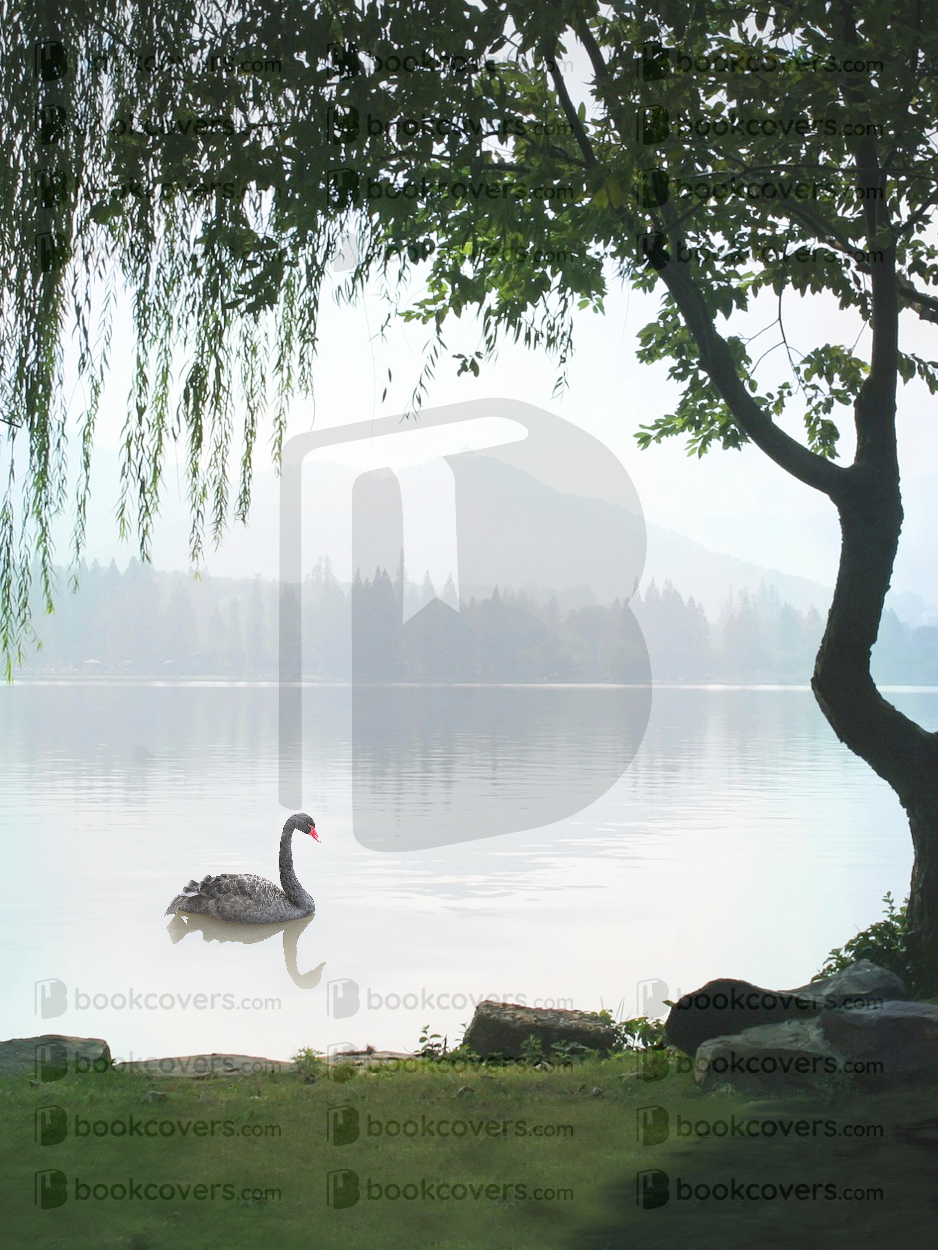 DeniseDoesDesign_26357570