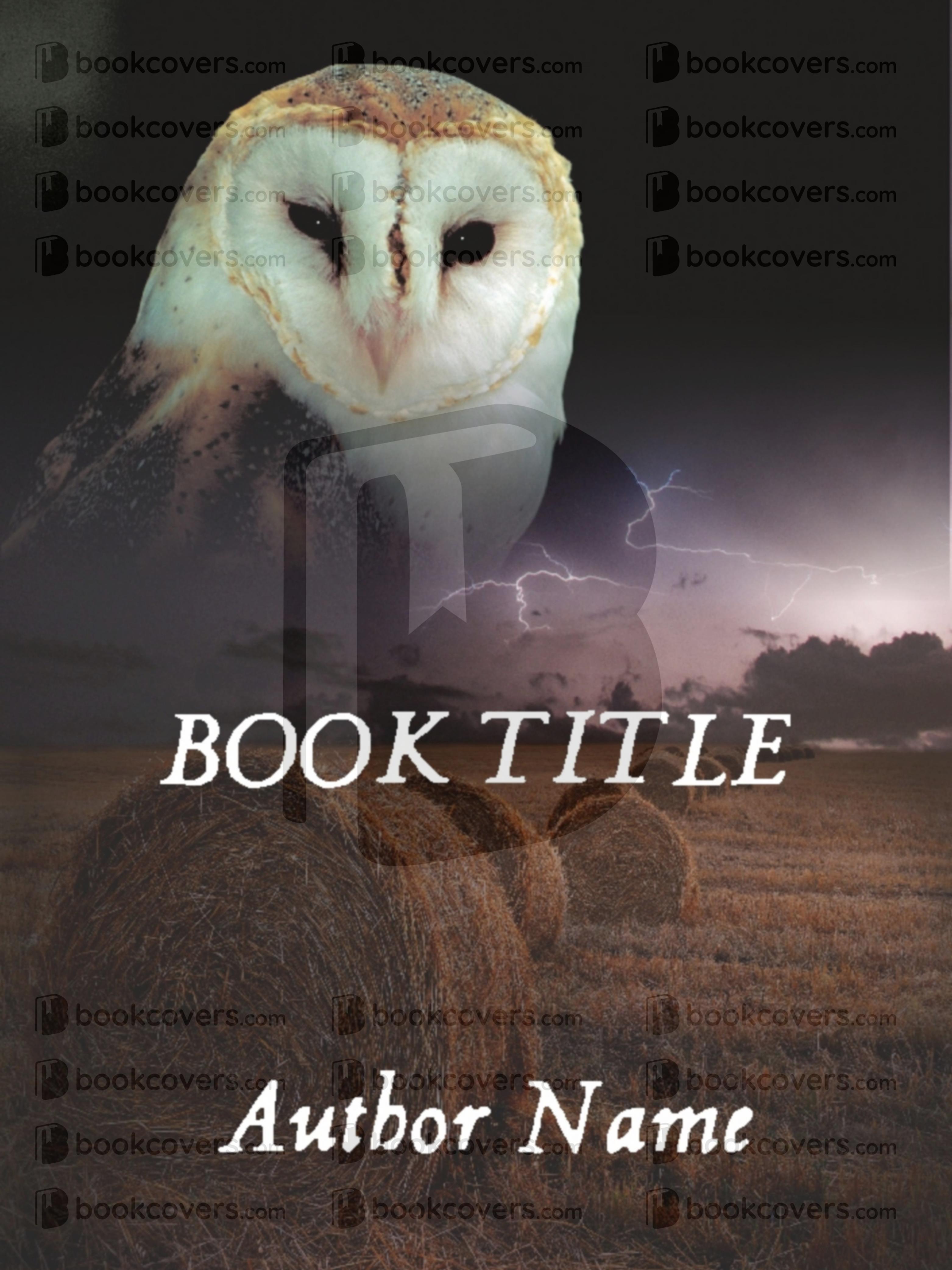 VonnaArt_26357761 - Image 2