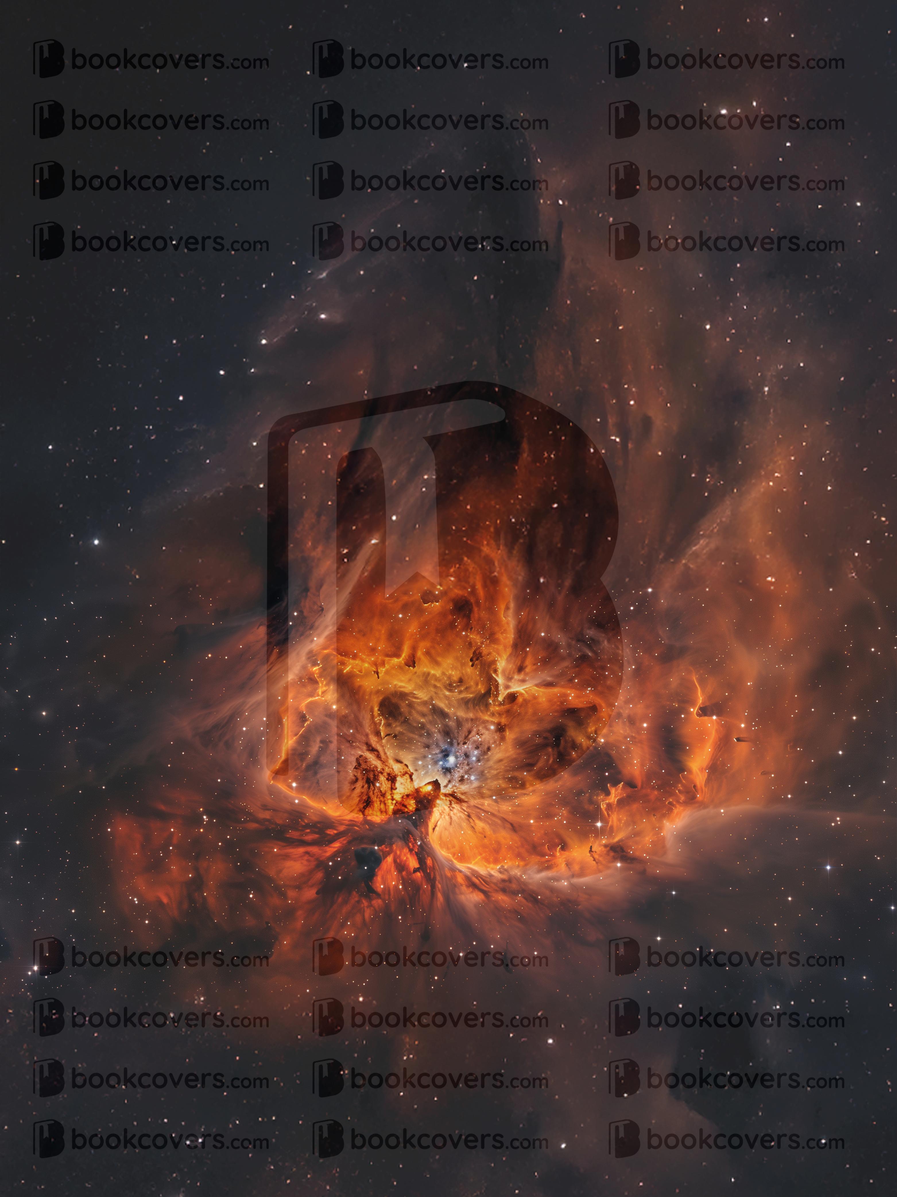 Pilar Garcia_26356488