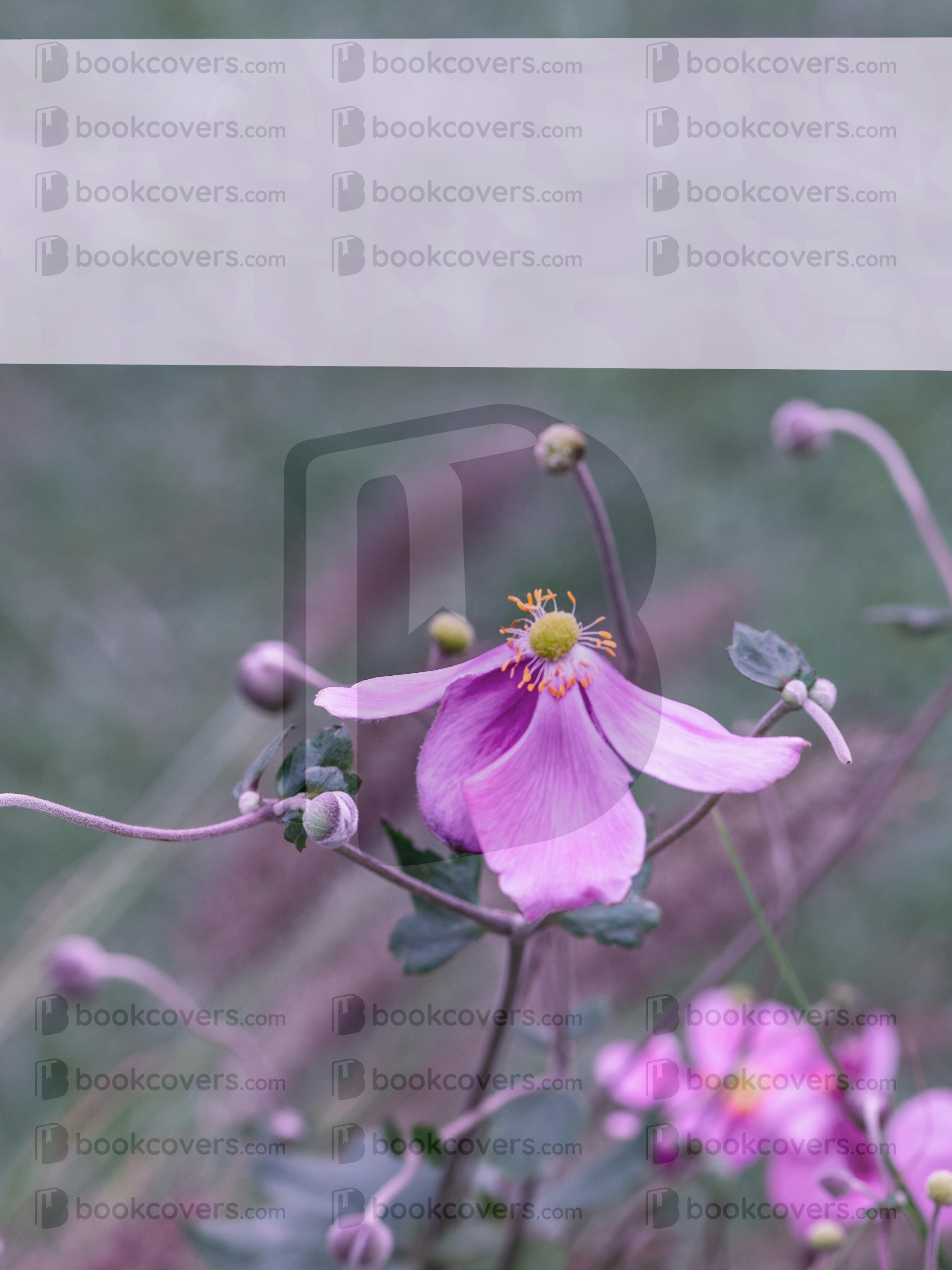 chiaracattaruzzi_26362953