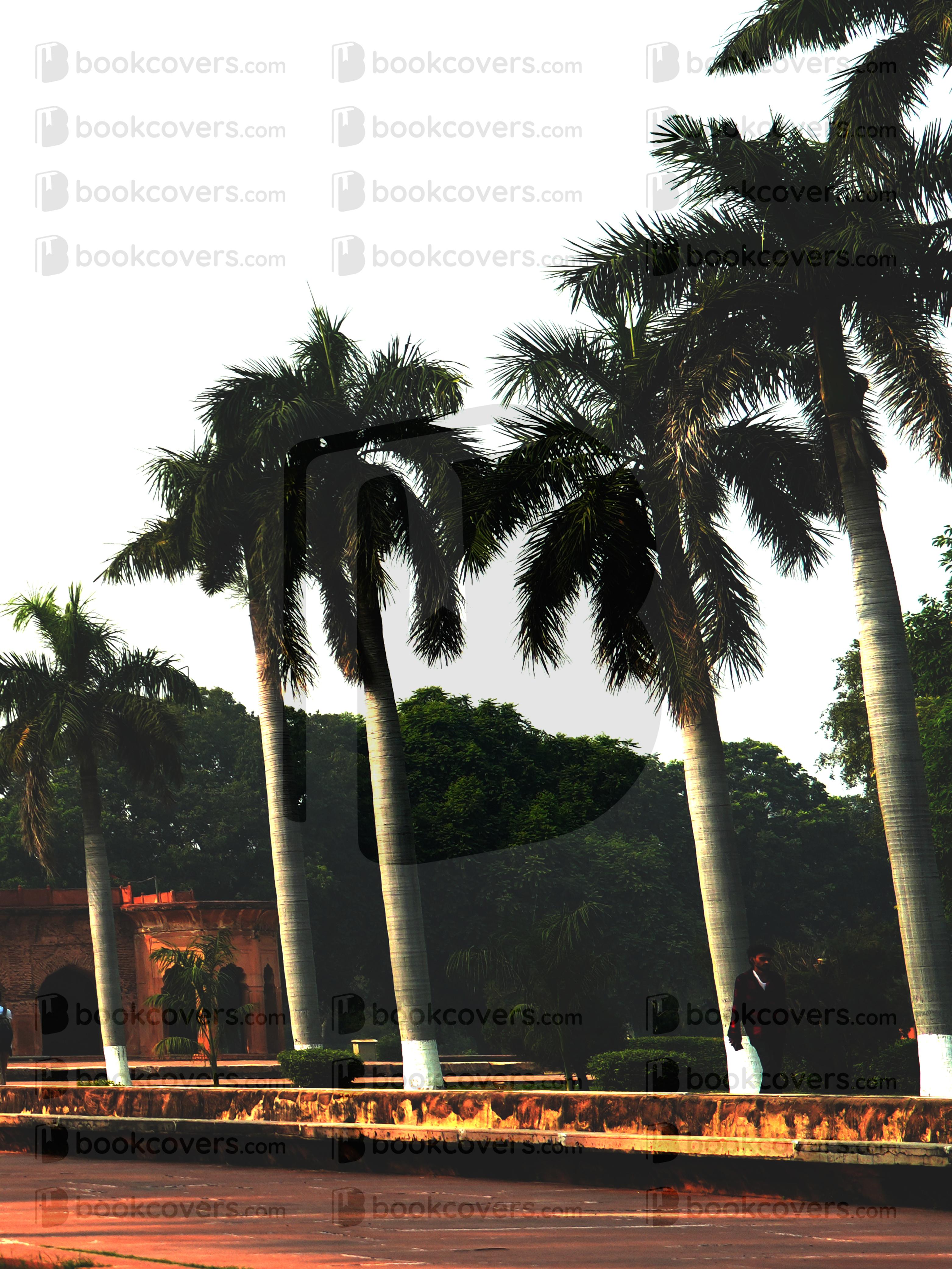 Riya Sharma_26368694