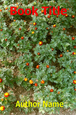 Riya Sharma_26368660