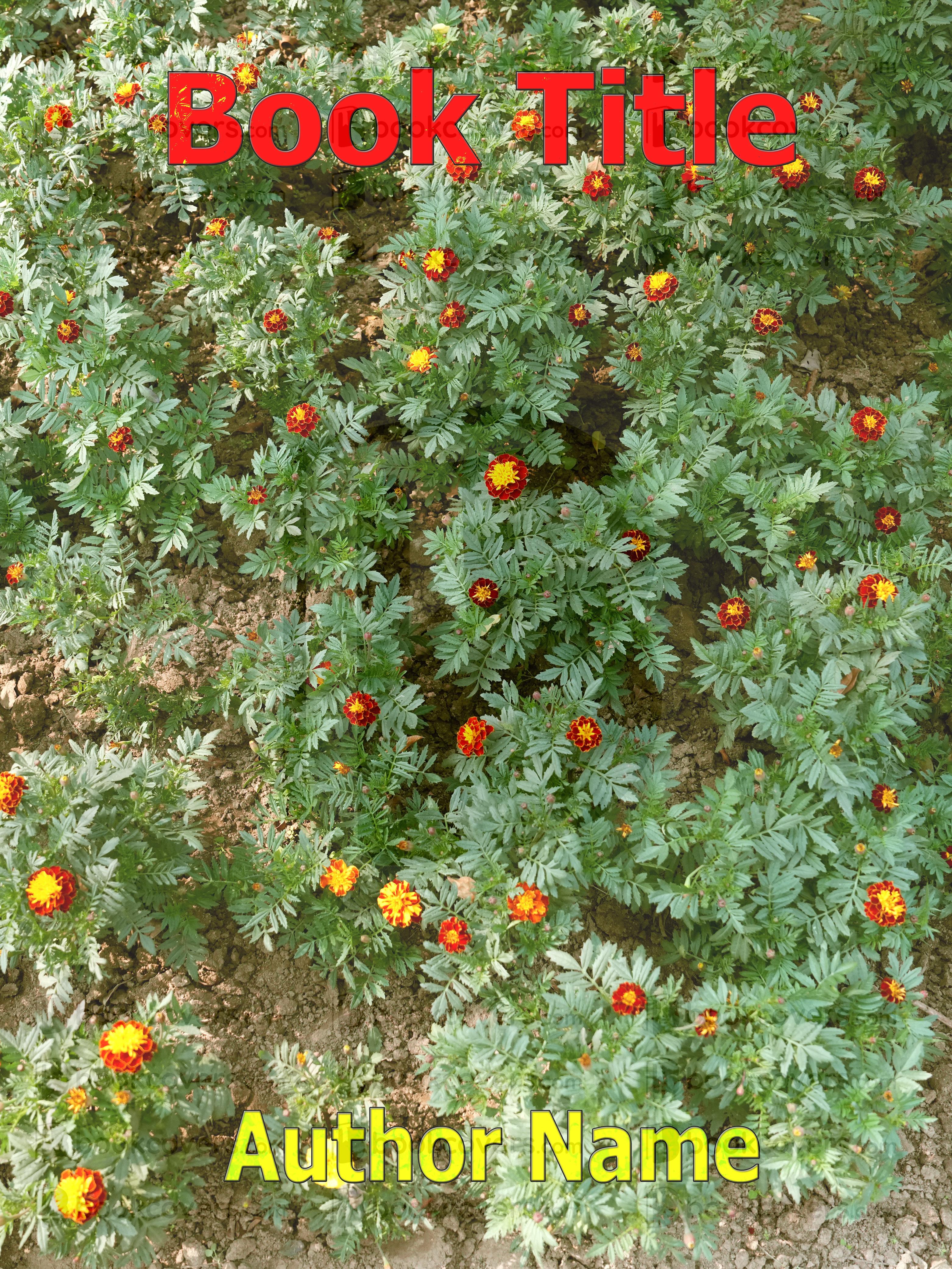 Riya Sharma_26368660 - Image 2