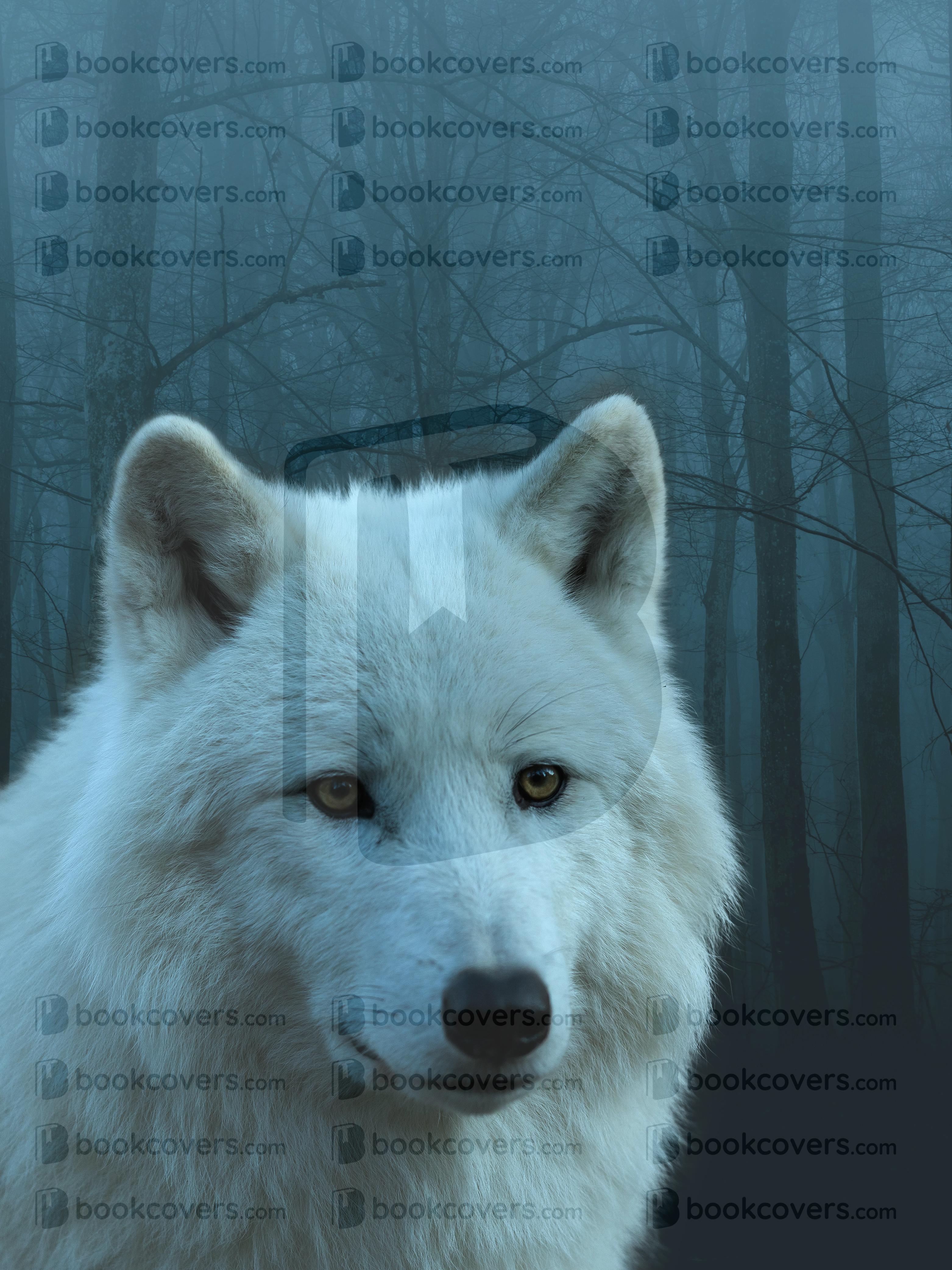 nishagandhi_26369849