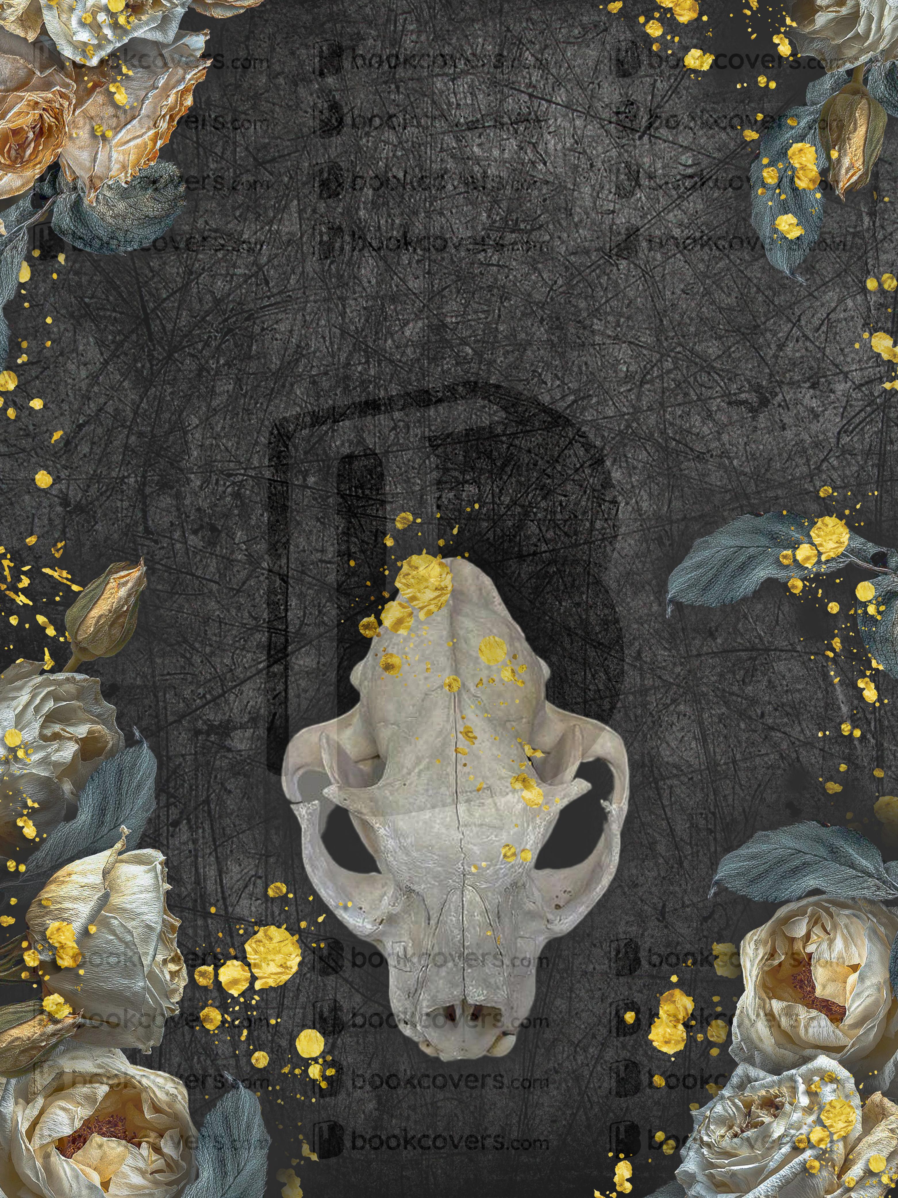 Alexandra Karaseva_26377531