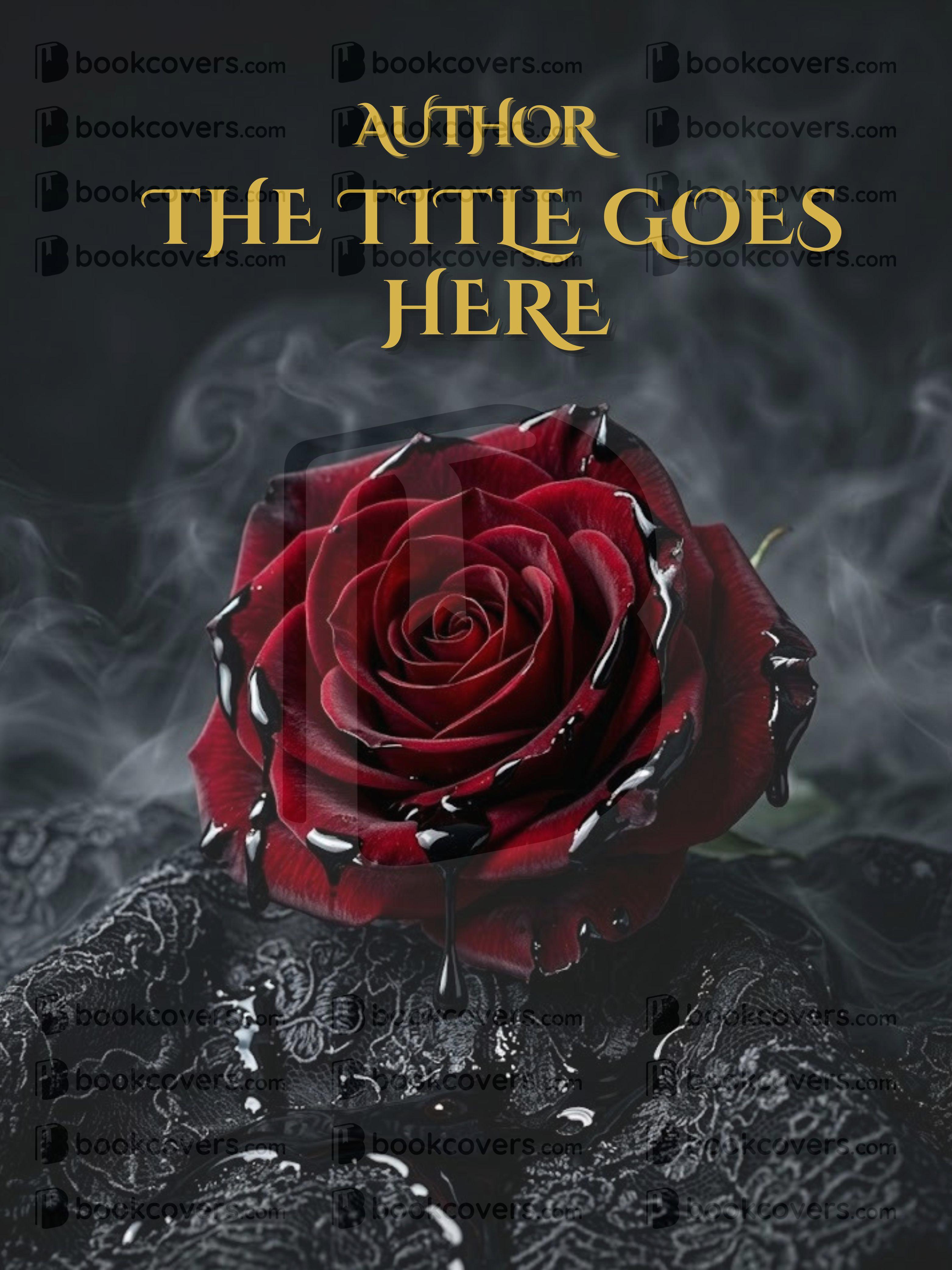 ESTRELLAS_26379479 - Image 2