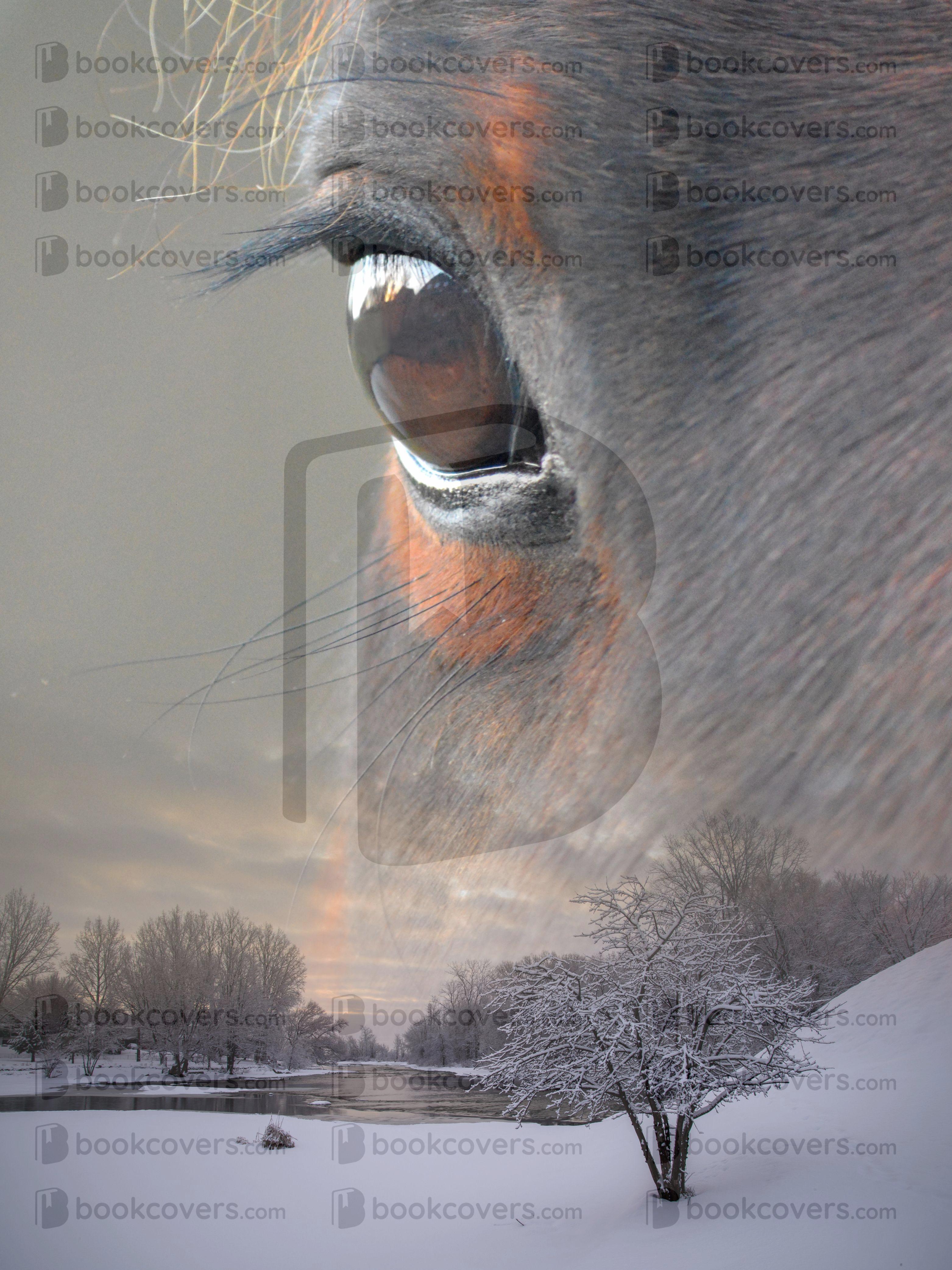 VonnaArt_26399020