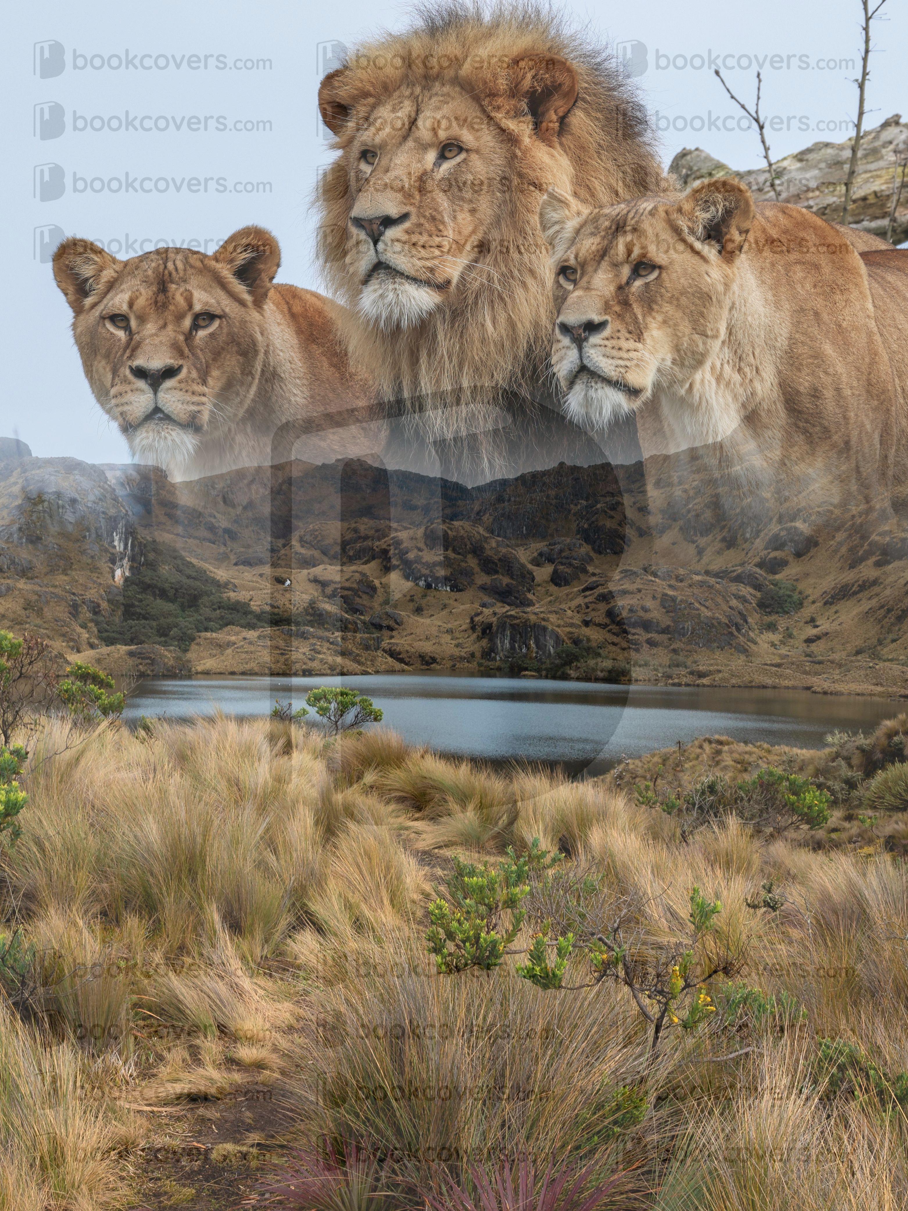 VonnaArt_26399374