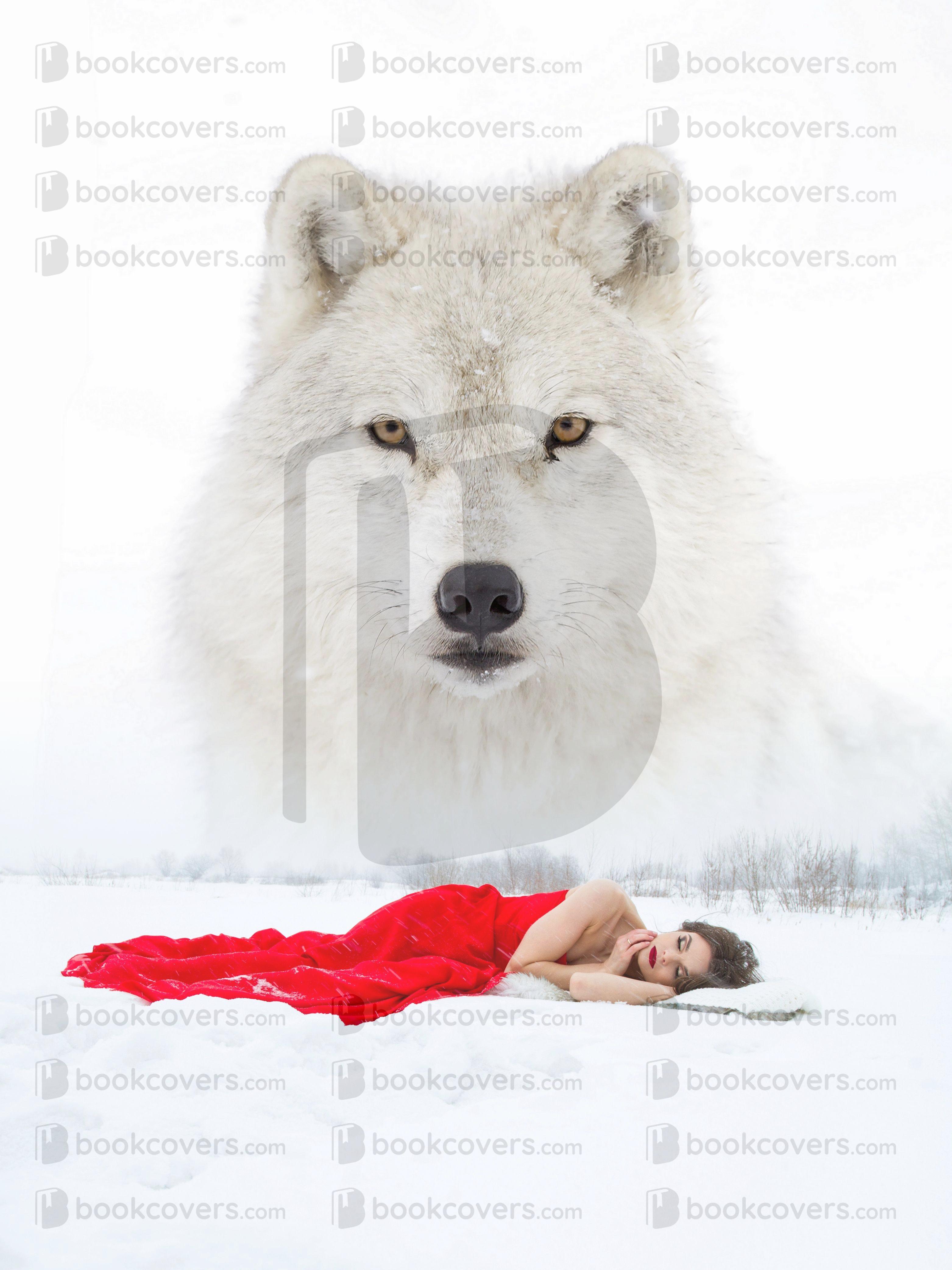 VonnaArt_26397859