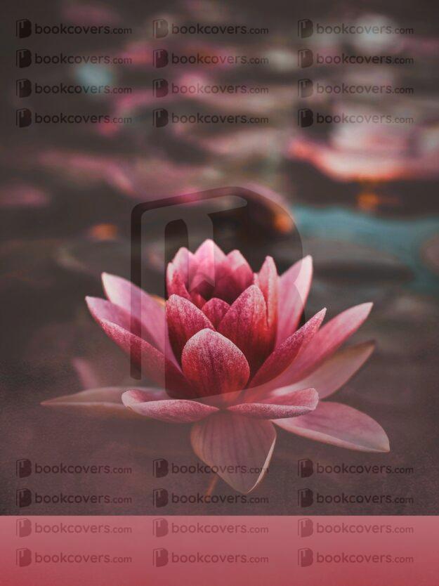 K. Poojitha_26398572